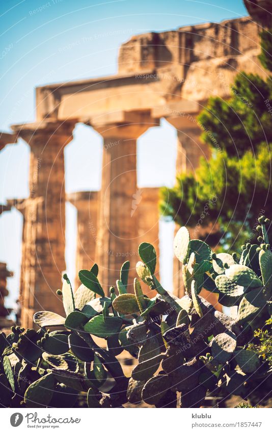 Ancient Greek temple in Selinunte, Sicily, Italy Vacation & Travel Tourism Culture Landscape Sky Ruin Building Architecture Monument Stone Old Historic Society