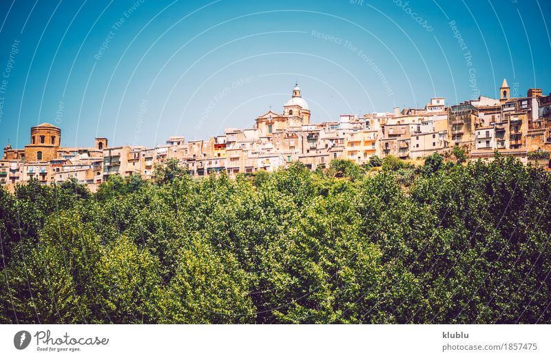 Panoramic view in Piazza Armerina, Sicily, Italy Vacation & Travel Island House (Residential Structure) Decoration Landscape Plant Tree Cactus Town Church