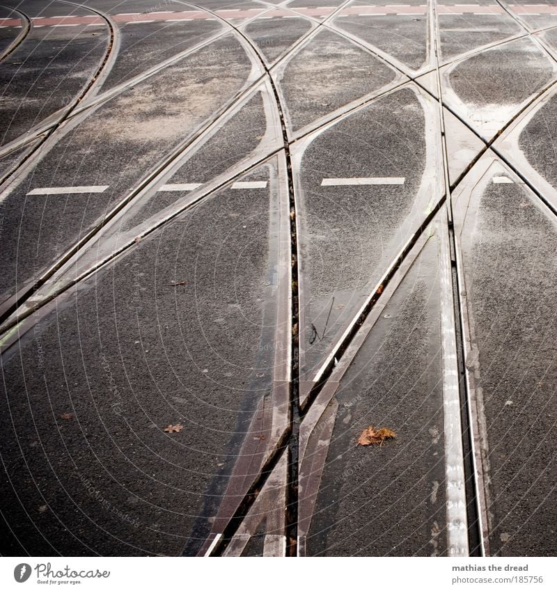 DANZIGER / PRENZLAUER Town Traffic infrastructure Public transit Road traffic Train travel Pedestrian Crossroads Vehicle Rail transport Tram Rail vehicle