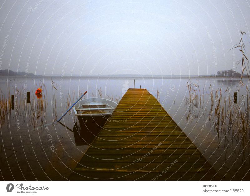 A day at the lake Environment Nature Landscape Water Autumn Bad weather Lakeside Fishing boat Rowboat Gray Calm Jetty Mecklenburg-Western Pomerania