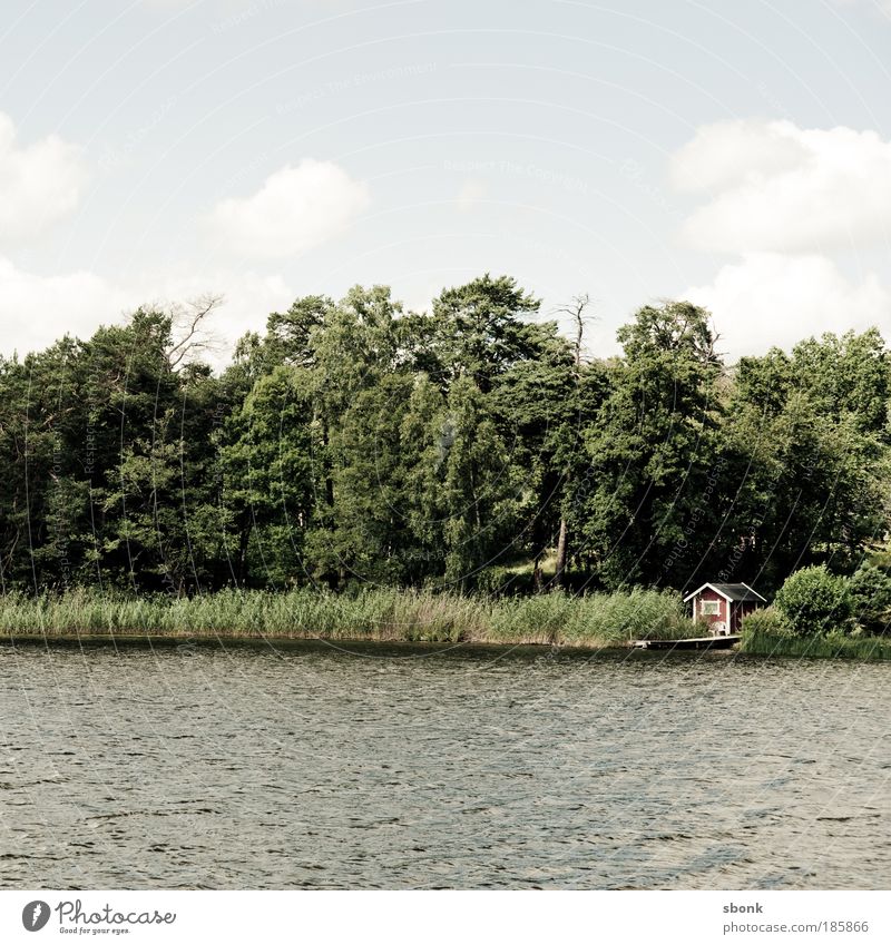 snug Environment Nature Landscape Water Sky Clouds Sun Sunlight Summer Beautiful weather Tree Bay Lake To enjoy Happy Sweden Loneliness Colour photo