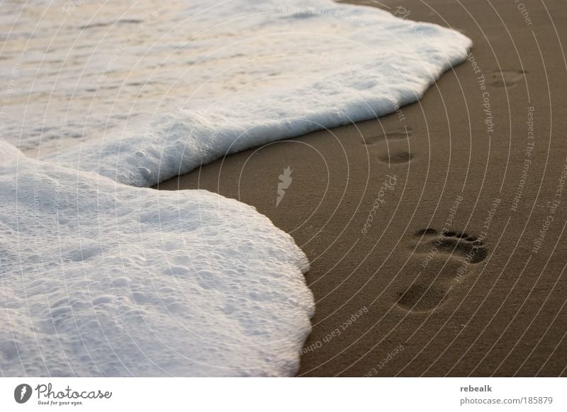 Traces in the sand Well-being Relaxation Vacation & Travel Tourism Summer Summer vacation Beach Ocean Feet Waves Coast Walking Contentment