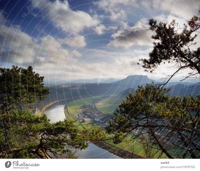 watch TV Environment Nature Landscape Plant Sky Clouds Horizon Spring Climate Beautiful weather Grass Wild plant Pine River bank Elbe Nature reserve