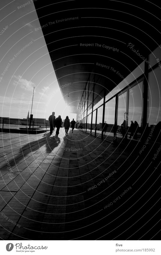 Tillykke with fodselsdagen photocase Human being Sky Clouds Town Port City Terrace Window Roof Going Bright Denmark Copenhagen Black & white photo Exterior shot