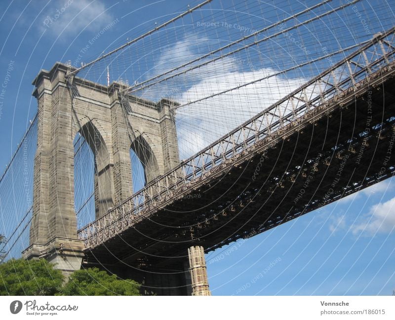 brooklyn bridge Vacation & Travel Tourism Trip City trip Landscape Sky Beautiful weather Outskirts Bridge Manmade structures Tourist Attraction Landmark