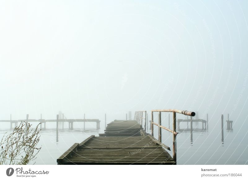 Bridge in Bodden Landscape Water Sky Autumn Fog Coast Baltic Sea Island Rügen Deserted Wood Old Broken Gloomy Gray Sadness Loneliness Grief Derelict unstable