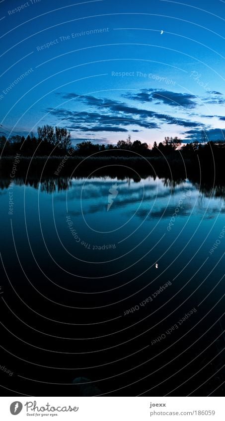 lunar day Nature Landscape Sky Clouds Moon Beautiful weather Lakeside Pond Cold Natural Blue Power Serene Calm Loneliness Relaxation Hope Horizon Environment