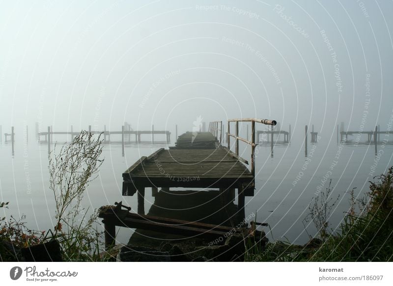 Bridge in Bodden Landscape Autumn Fog Coast Baltic Sea Island Rügen Deserted Wood Old Broken Gloomy Gray Grief Loneliness Boddenlandscape NP Destruction