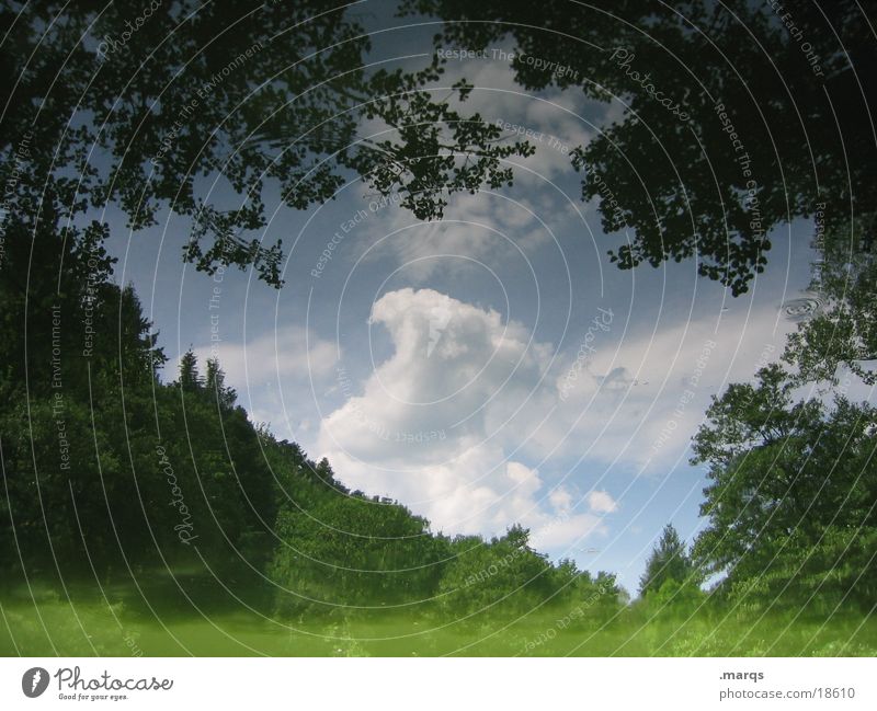 Forest in the forest lake Dreary Lake Reflection Summer Clouds Tree Water Landscape