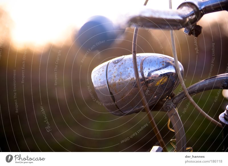 Mirror Mirror... Leisure and hobbies Trip Freedom Bicycle High-tech Nature Beautiful weather Transport Means of transport Passenger traffic Road traffic