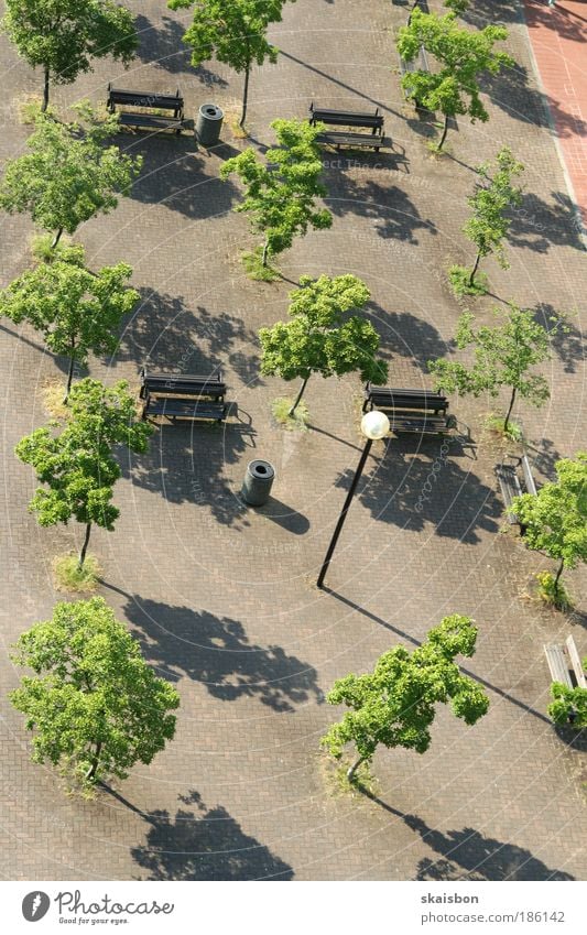 tidied Tree Town Deserted Park Places Lamp Bench Calm Break Arrangement Urban development Artificial Colour photo Exterior shot Aerial photograph