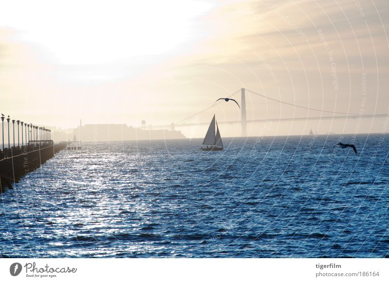 sunset on alcatraz Calm Sightseeing Sun Ocean Waves Sailing Landscape Water Sunrise Sunset Beautiful weather Bay San Francisco bay Alcatraz Bridge