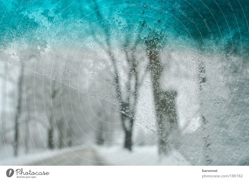 snow ride Landscape Winter Ice Frost Snow Tree Motoring Street Car Glass Driving Freeze Bright Cold Idyll Windscreen Drop water pots Avenue Subdued colour