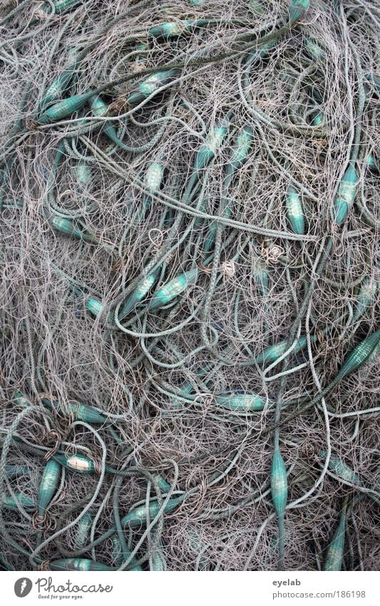 Badly tangled up Coast North Sea Baltic Sea Ocean Fishing village Many Wild Bizarre Net Fishing (Angle) Fishery Shore leave Fisherman Harbour Marine animal