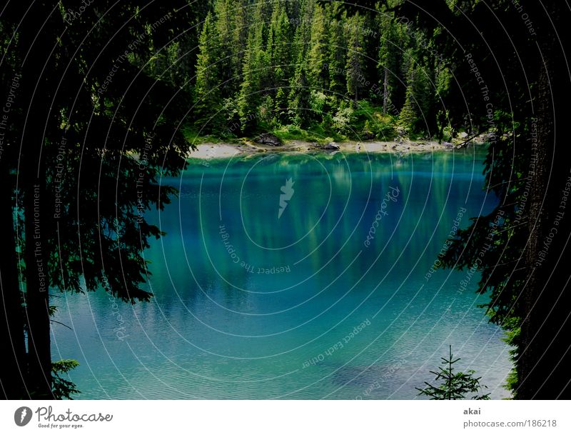 Lake Carezza in South Tyrol Nature Landscape Water Beautiful weather Tree Tourist Attraction Blue Green Emotions Moody Environment Environmental protection