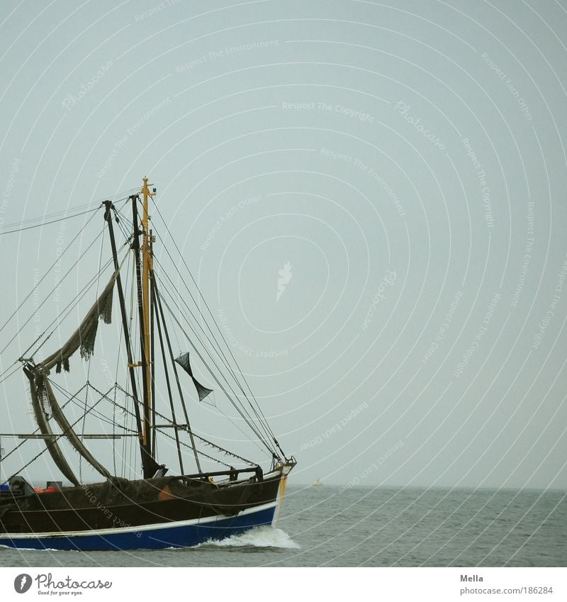 Take me with you, Captain, on the journey! Vacation & Travel Trip Far-off places Freedom Fisherman shrimper Hull Environment Water Sky Coast North Sea Ocean