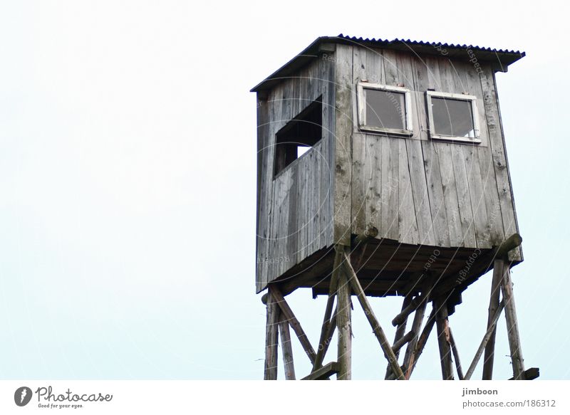 raised hide Nature Sky Cloudless sky Autumn Winter Deserted Hut Hunting Blind Window Wood Observe Discover Relaxation Looking Sit Dream Wait Old Exceptional