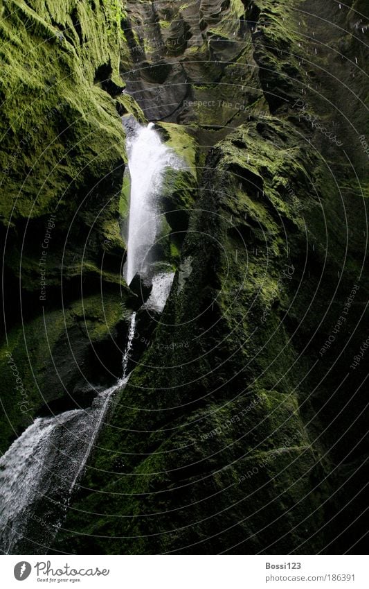 Iceland02 Nature Landscape Water Drops of water Moss Canyon Brook Waterfall Stone Dark Green Cave Shaft of light Colour photo Exterior shot Deserted Day