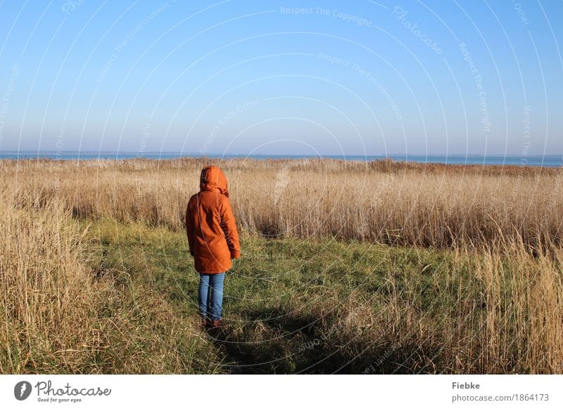 boddenblick Relaxation Calm Feminine Young woman Youth (Young adults) 1 Human being Nature Landscape Water Cloudless sky Horizon Autumn Beautiful weather Fern