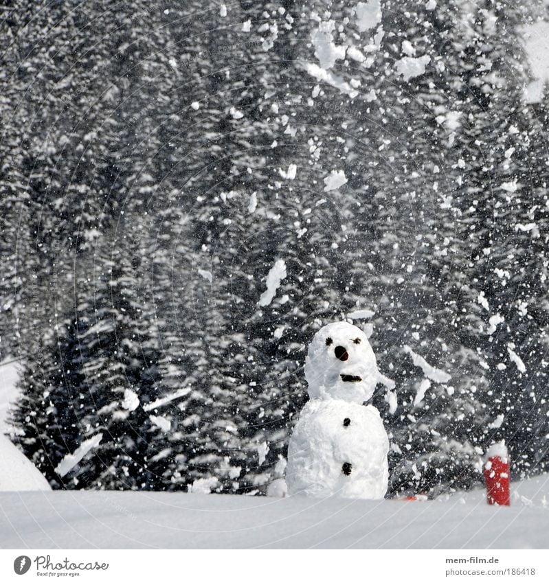 Snow, man! Christmas & Advent Winter Snowman Cold Snowfall Man chafe Children's game Mountain Switzerland Austria Vacation & Travel Winter vacation Eyes Nose