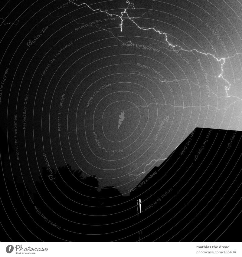 electric arc Environment Nature Elements Storm clouds Night sky Bad weather Wind Gale Rain Thunder and lightning Lightning Tree Town Manmade structures Building