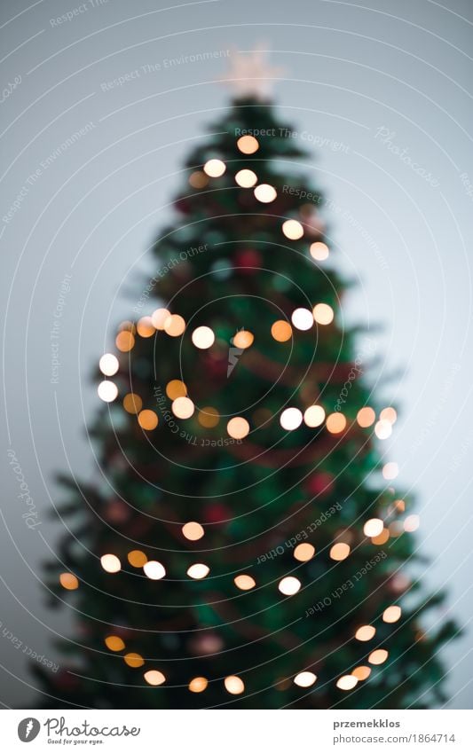 Blurred Christmas tree lights Decoration Christmas & Advent Tree Bright Green Tradition background blur christmas colorful Glow holiday illumination merry