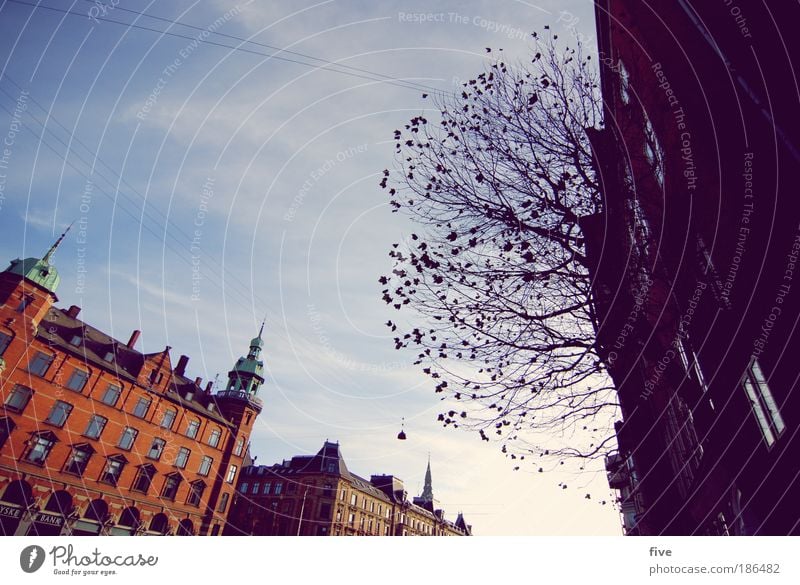 København Sky Beautiful weather Tree Town Capital city Port City House (Residential Structure) Window Vacation & Travel Tourism Copenhagen Denmark Colour photo