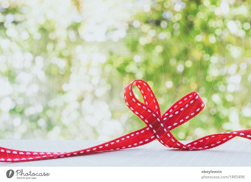 Red ribbon tied in a bow Lifestyle Style Joy Beautiful Nature Plant Tree Adventure Colour photo Multicoloured Close-up Detail Macro (Extreme close-up) Morning