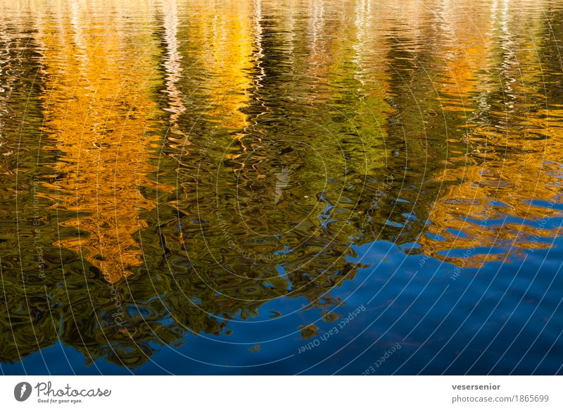 in autumn, in the boat Landscape Water Autumn Tree Lakeside Beautiful Blue Gold Peaceful Serene Patient Calm Contentment Relaxation Idyll Nature Colour photo