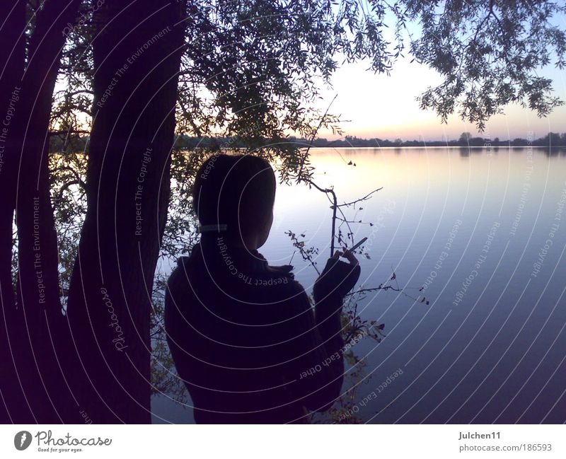 Somewhere back there. Feminine Water Sunrise Sunset Autumn Lakeside Moody Warm-heartedness Serene Calm Modest Hope Colour photo Subdued colour Exterior shot