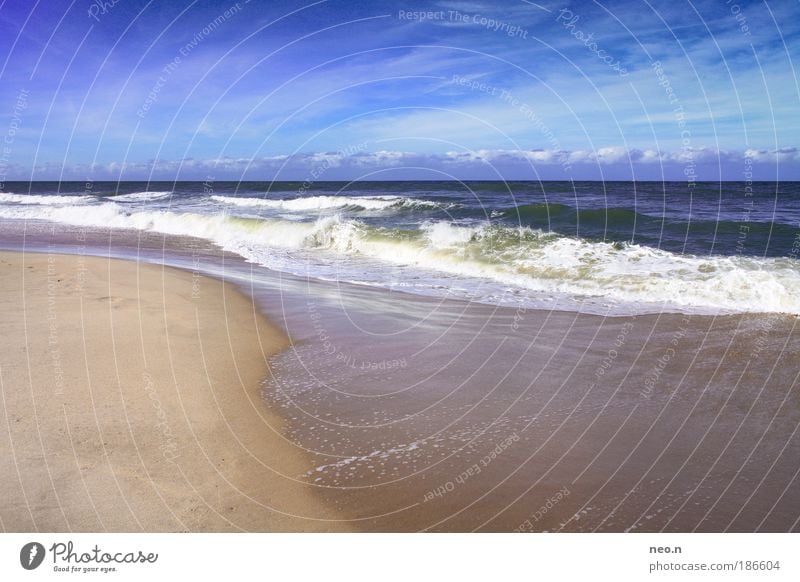 A day at the sea Nature Landscape Sand Water Sky Horizon Sun Sunlight Summer Beautiful weather Beach North Sea Ocean Island Sylt Blue Brown White Loneliness