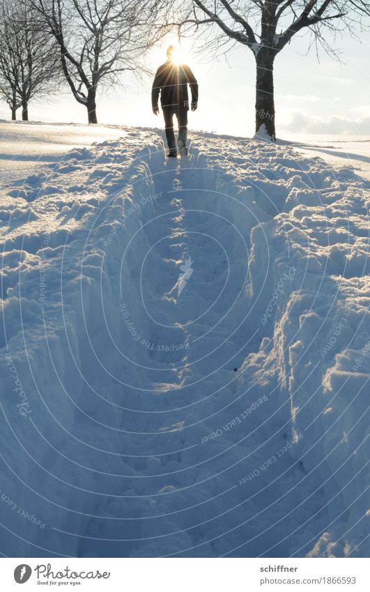 Standing in the way of light Human being Masculine 1 Nature Sun Sunlight Winter Beautiful weather Snow Tree Going Belief Religion and faith Happy Hope Horizon