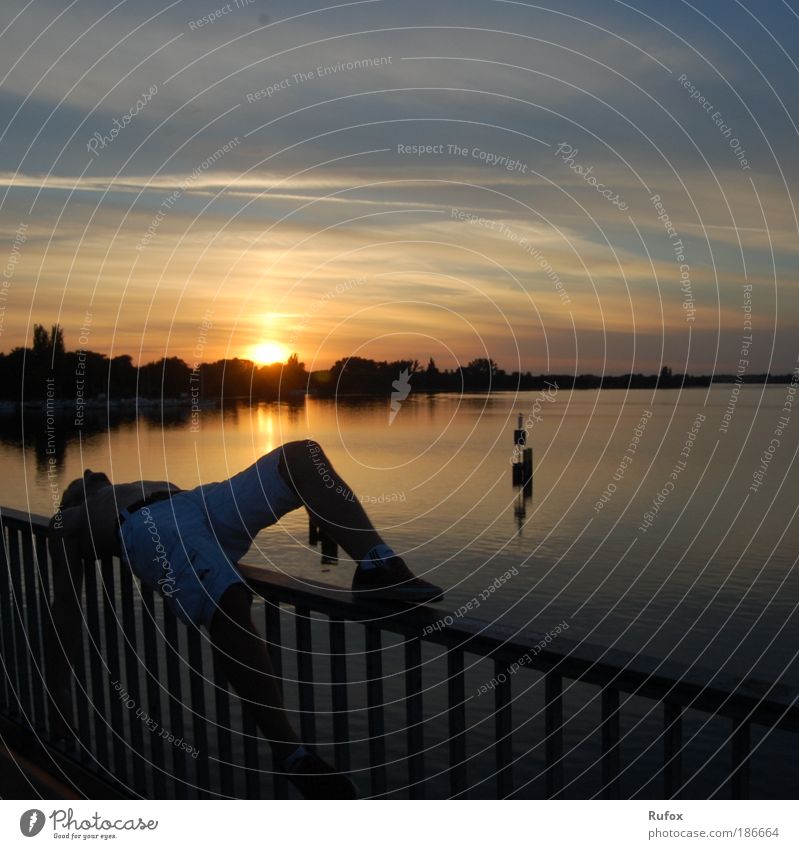 Bridge sleeper in the head Sun Sunset Water Lake Human being by oneself Looking Longing relaxation