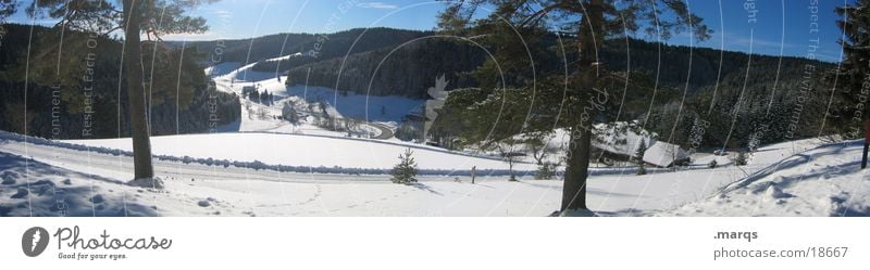 Schwarzwald Winter Tree Valley Vantage point Cold Panorama (View) Black Forest Hill Monoculture Calm Loneliness Wide angle Mountain Snow Ice Street marqs Large