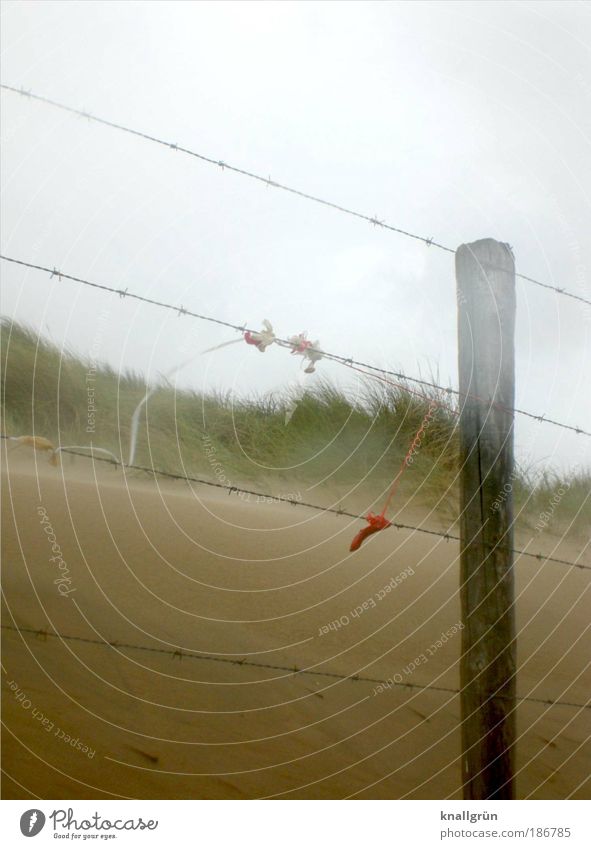 Katwijk aan Zee Vacation & Travel Trip Far-off places Summer Beach Ocean Elements Earth Sand Air Sky Storm clouds Weather Wind Grass North Sea Barbed wire fence