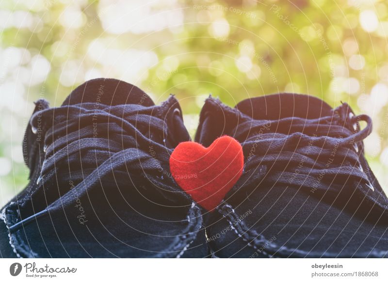 love with laces on shoes Lifestyle Style Joy Happy Art Artist Adventure Colour photo Multicoloured Close-up Detail Macro (Extreme close-up) Morning Day