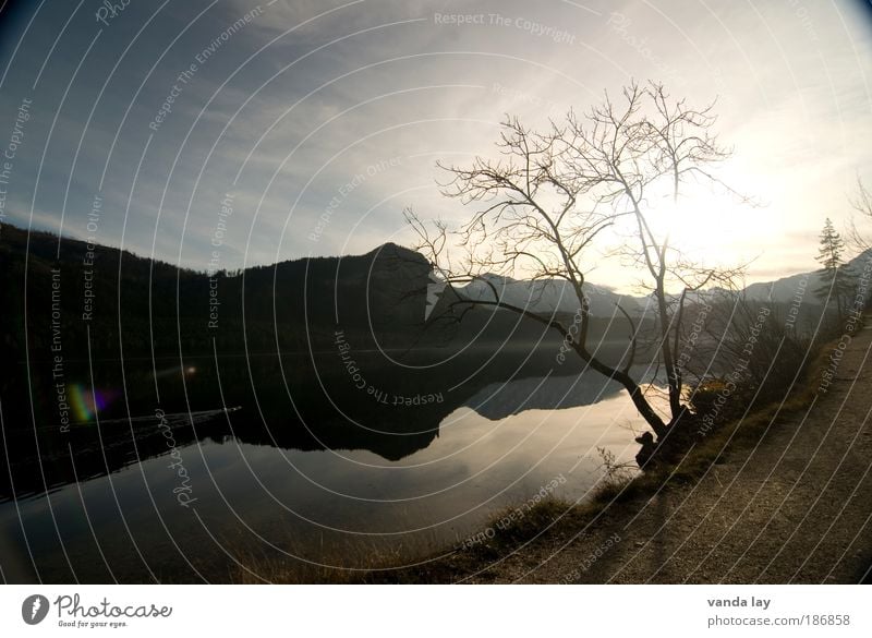 Altaussee II Environment Nature Landscape Water Sky Sun Sunlight Autumn Winter Beautiful weather Plant Tree Mountain Lakeside Gloomy Salzkammergut Austria