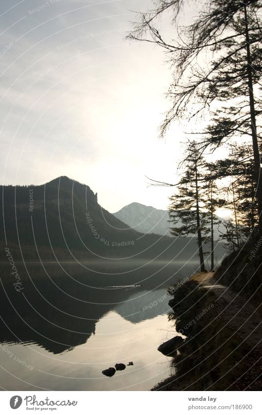 Altaussee III Environment Nature Elements Water Sky Sun Autumn Winter Tree Rock Alps Mountain Peak Lakeside Lanes & trails Calm Salzkammergut Austria Fir tree