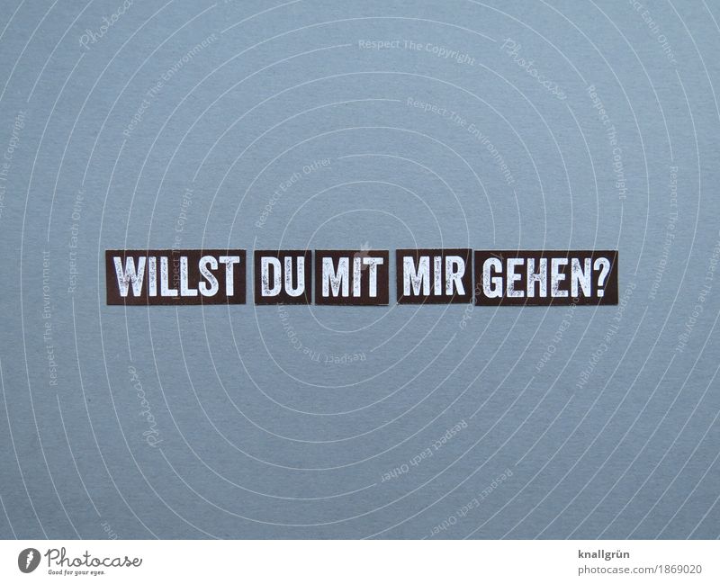 Do you want to go with me? Characters Signs and labeling Communicate Sharp-edged Gray Black White Emotions Joie de vivre (Vitality) Spring fever Anticipation