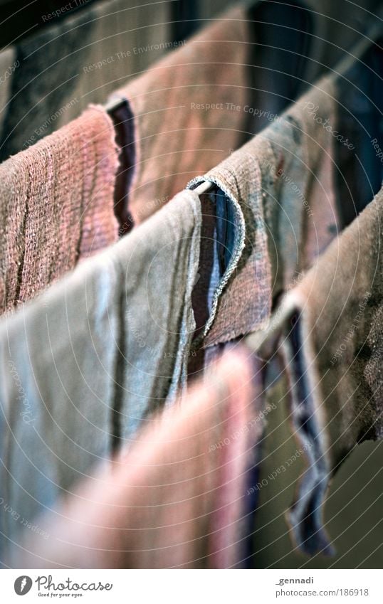 Under washcloth Scaredy-cat Floor cloth Rope Dirty laundry Clean Hang Suspended Colour photo Interior shot Deserted Shallow depth of field