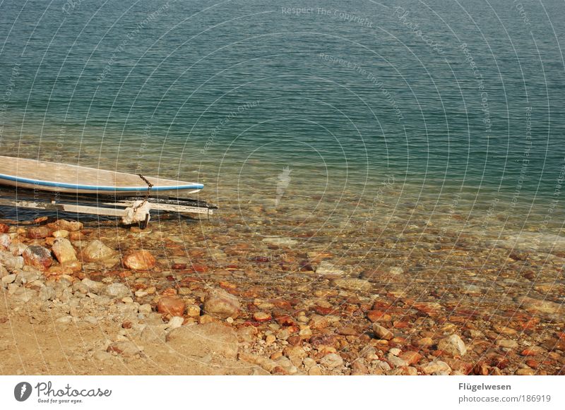 Surfin' dead Sea! Vacation & Travel Summer vacation Ocean The Dead Sea Surfboard Coast Beach Colour photo Day Copy Space top Pebble beach Deserted