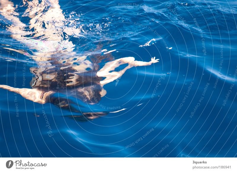 diver Leisure and hobbies Playing Aquatics Waves Swimming & Bathing Relaxation Wet Blue Joy Happiness Joie de vivre (Vitality) Movement Ease boat Colour photo