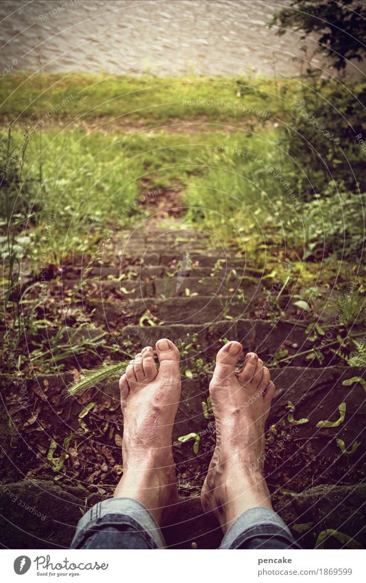 Why is the Rhine so beautiful? Human being Androgynous Feet Nature Landscape Summer Grass Park Meadow River Relaxation Swimming & Bathing Stairs Jeans