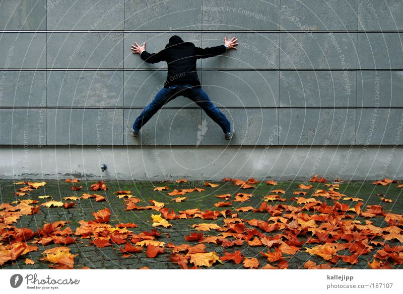 parents are responsible for their children Climbing Mountaineering Man Adults Contact Testing & Control Concentrate Creeper Stick Velcro Leaf Autumn