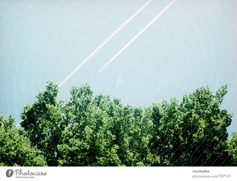 Green logo Vacation & Travel Far-off places Summer Aviation Art Nature Cloudless sky Tree Branch Treetop Park Forest Airplane condensation streaks Sign Flying