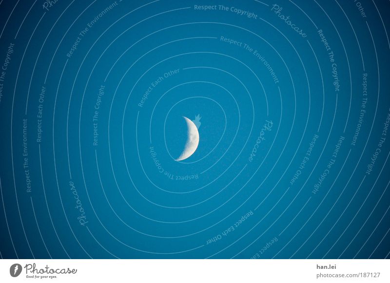 The moon is our sun Far-off places Sky Moon Blue White Romance Fear Copy Space Moonlight Planet Vignetting graters Astronomy sickle Half moon twilight Devil