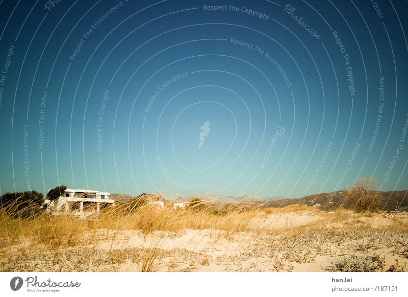 carefree Deserted Blue sky Colour photo Central perspective Copy Space top Beach dune Dune Sand Plant House (Residential Structure) resettlers Individual