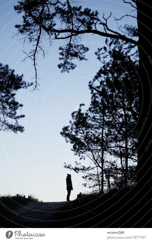 close Art Esthetic Stand Exterior shot Baltic Sea Tree Cap To go for a walk Promenade Coniferous forest Loneliness Future Looking Colour photo Multicoloured