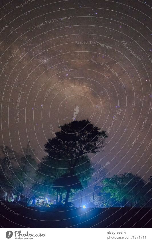 milky way Art Artist Nature Landscape Sky Night sky Stars Spring Tree Adventure Colour photo Multicoloured Detail Long exposure Wide angle