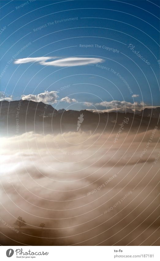 over the clouds... Nature Landscape Air Sky Clouds Horizon Beautiful weather Alps Mountain Romance Freedom Environment Colour photo Exterior shot Deserted Day